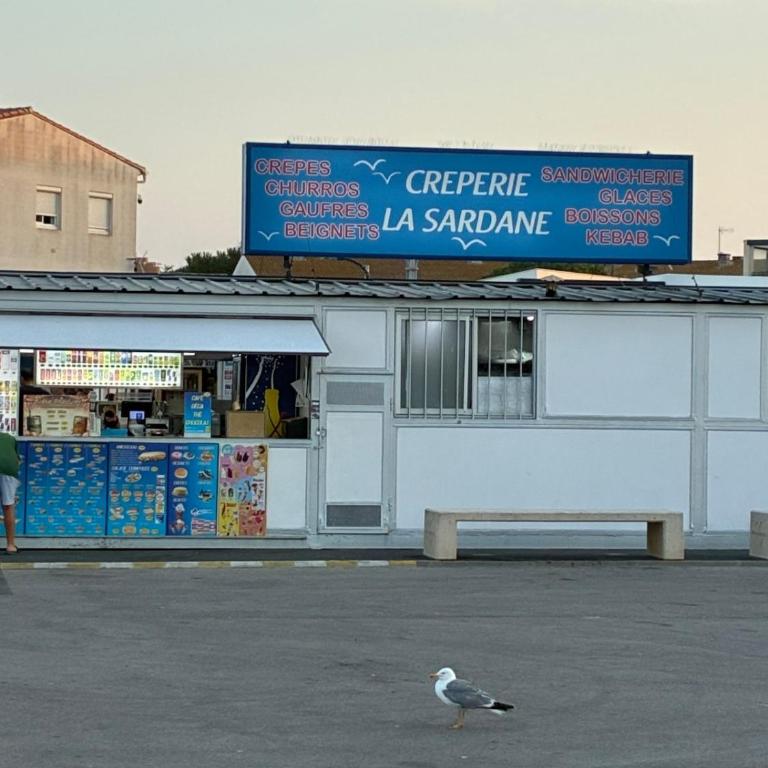 Sarah Secret SPOT studio parking 400m plage Rdc - Appartement 2 Chambres - 31