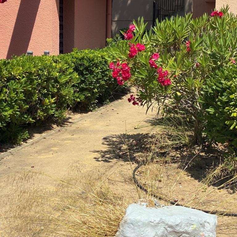 Sarah Secret SPOT studio parking 400m plage Rdc - Appartement 2 Chambres - 21