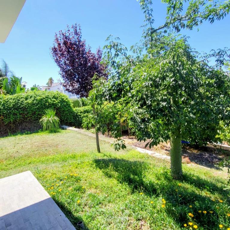 Family house with nice garden 10min from Sanlúcar - Casa de 3 dormitorios - 57