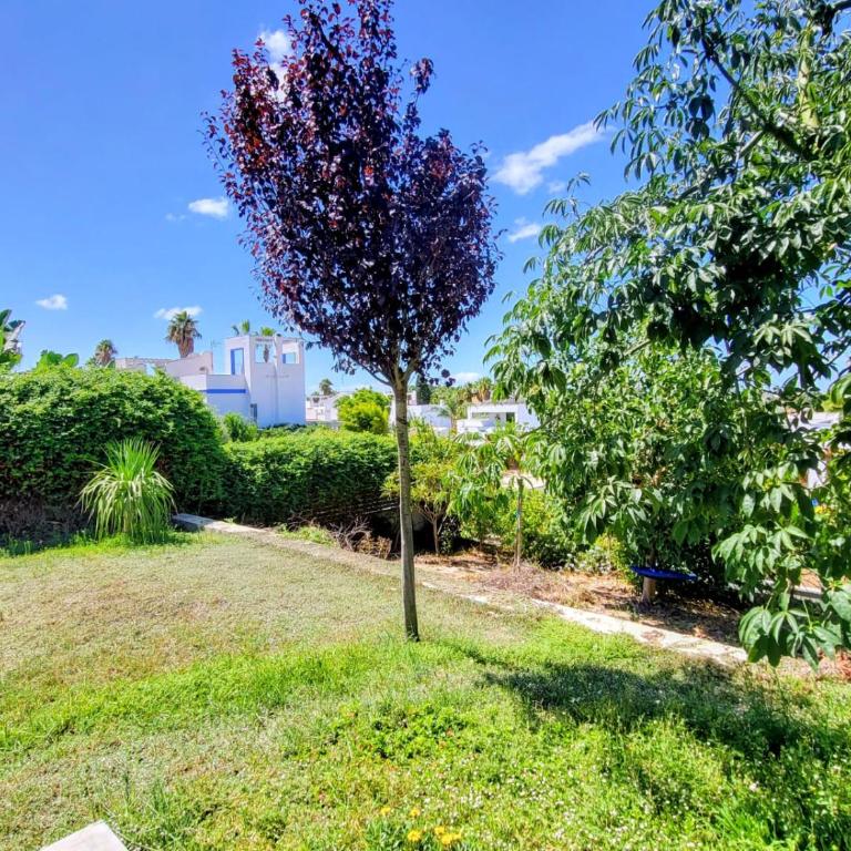 Family house with nice garden 10min from Sanlúcar - Casa de 3 dormitorios - 58