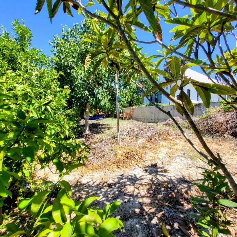 Family house with nice garden 10min from Sanlúcar - Casa de 3 dormitorios - 59