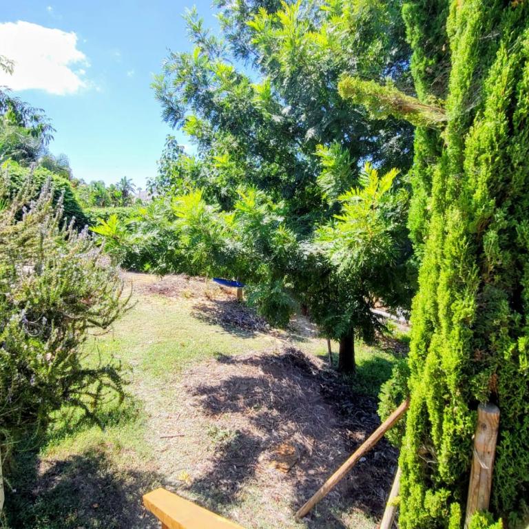 Family house with nice garden 10min from Sanlúcar - Casa de 3 dormitorios - 64