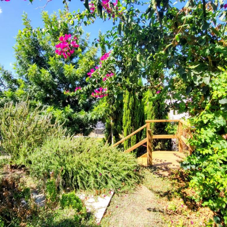 Family house with nice garden 10min from Sanlúcar - Casa de 3 dormitorios - 62
