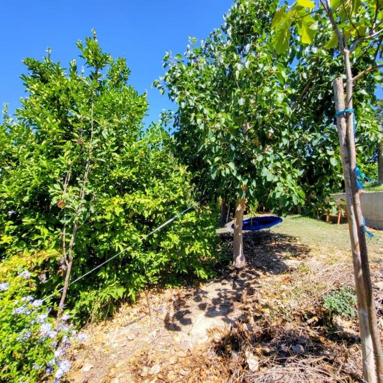 Family house with nice garden 10min from Sanlúcar - Casa de 3 dormitorios - 65