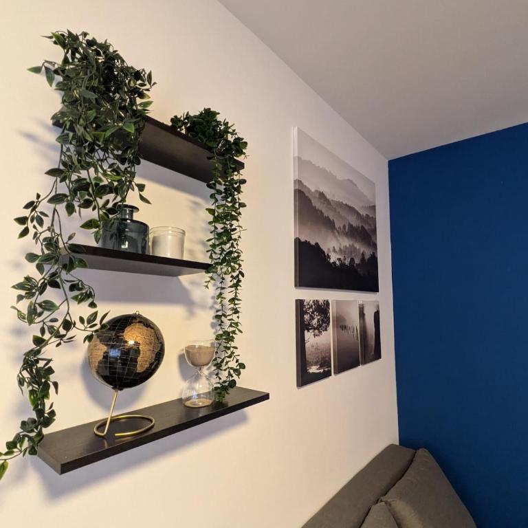 Appartement cozy proche du centre de Strasbourg - Appartement 1 Chambre - 6