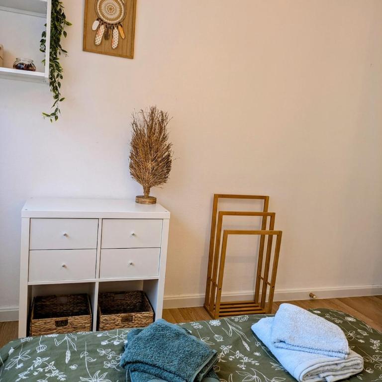 Appartement cozy proche du centre de Strasbourg - Appartement 1 Chambre - 15
