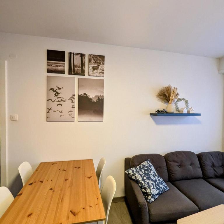 Appartement cozy proche du centre de Strasbourg - Appartement 1 Chambre - 24