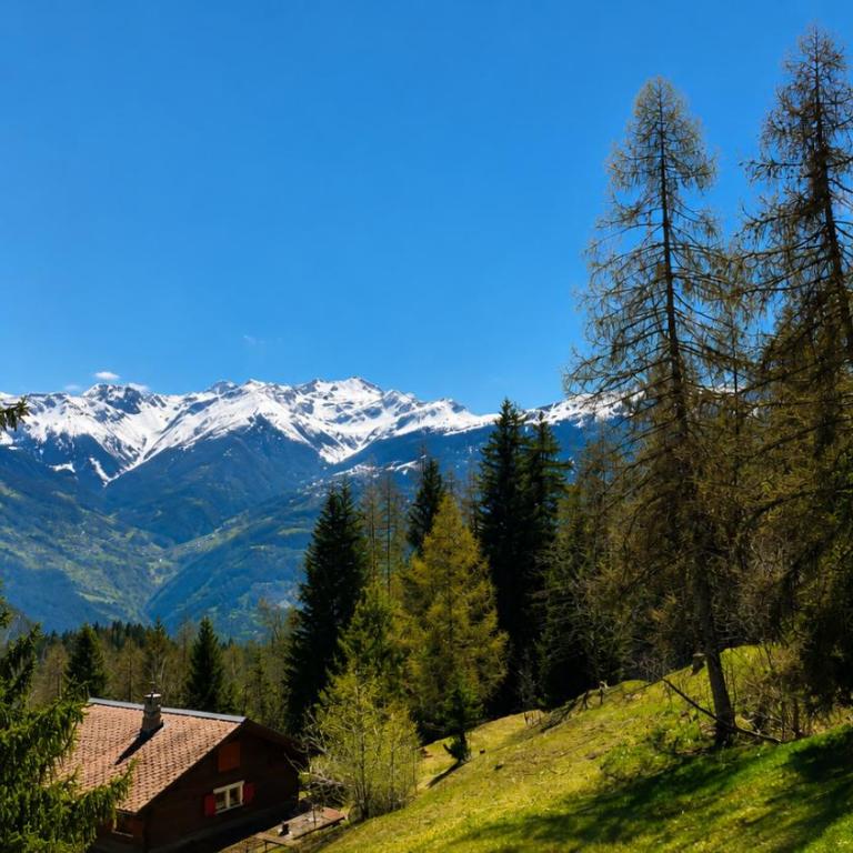 Charmantes Apartment - Le Mazot - Appartement 3 Chambres avec Vue sur la Montagne - 19