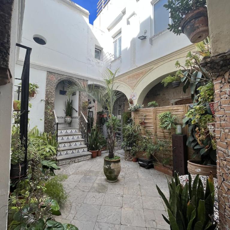Casco Antiguo 'Apartment Poppies' - Apartamento de 1 dormitorio - 7