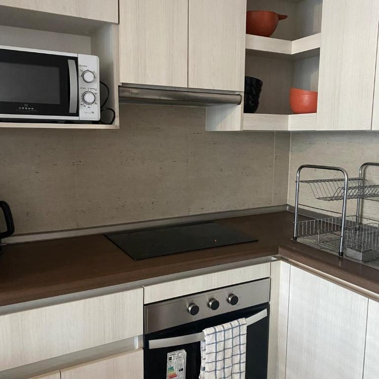 Arriendo departamento por dia - Apartamento de 1 dormitorio - 2