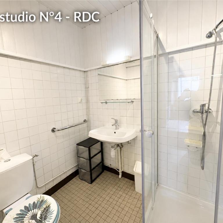 Villa Prairie Mont-Dore Appartements - Studio Standard - 12