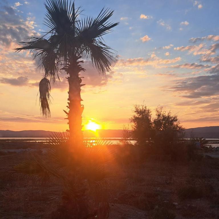 Dispo week-end 19-20 sept Barcarès sur l'île des pêcheurs hébergement insolite entre lac marin et bord de mer 8 couchages wifi parking piscine ouverte - Casa de 3 dormitorios - 91