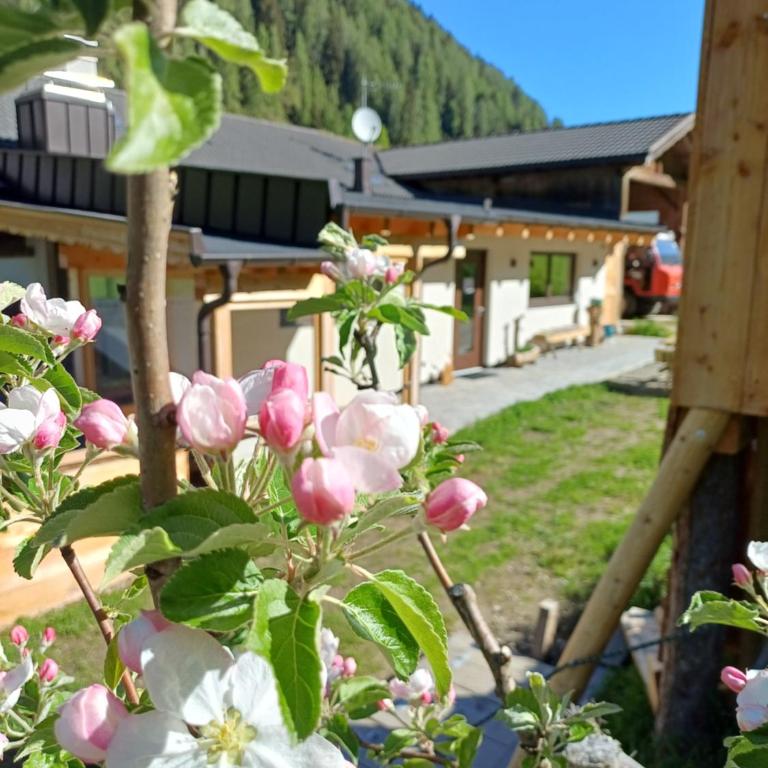 Hanselerhof Jaufental Ratschings mit Sauna - Appartement 2 Chambres - 42