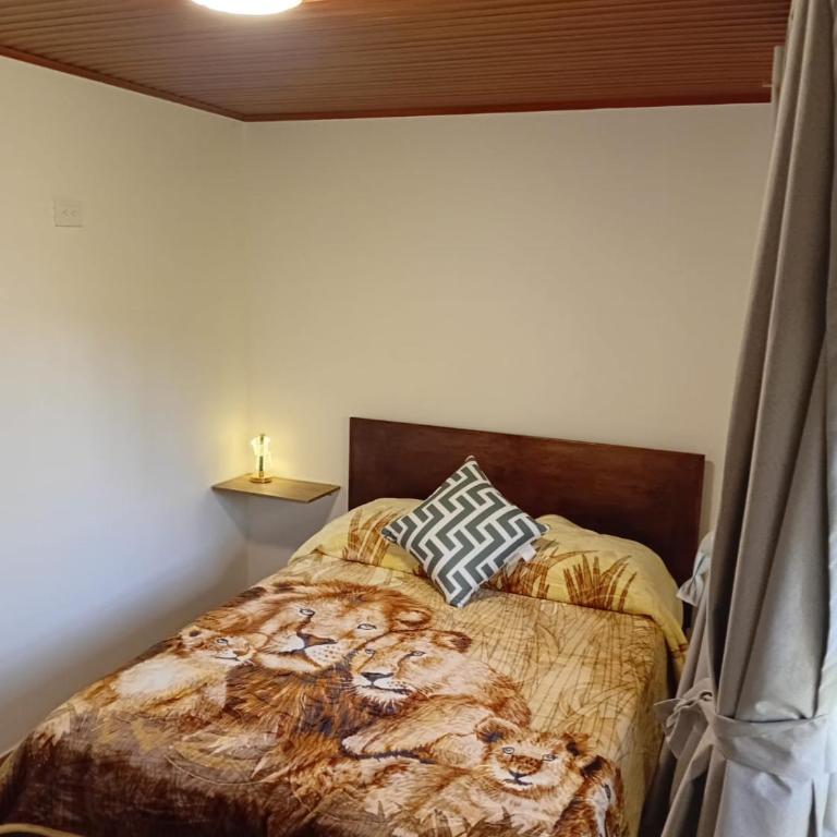 hospedaje los Alpes - Habitación Doble con baño privado - 3