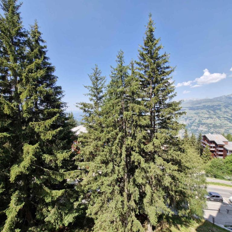 Résidence Archeboc - Très beau duplex entièrement rénové pour 4 personnes dans le village de Charmettoger, proche des pistes MAE-2116 - Appartement - 13