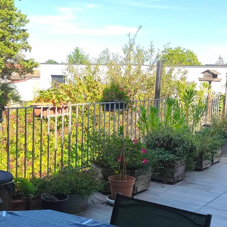 La chambre d'hôtes du facteur d'orgues - Chambre Double avec Terrasse - 8