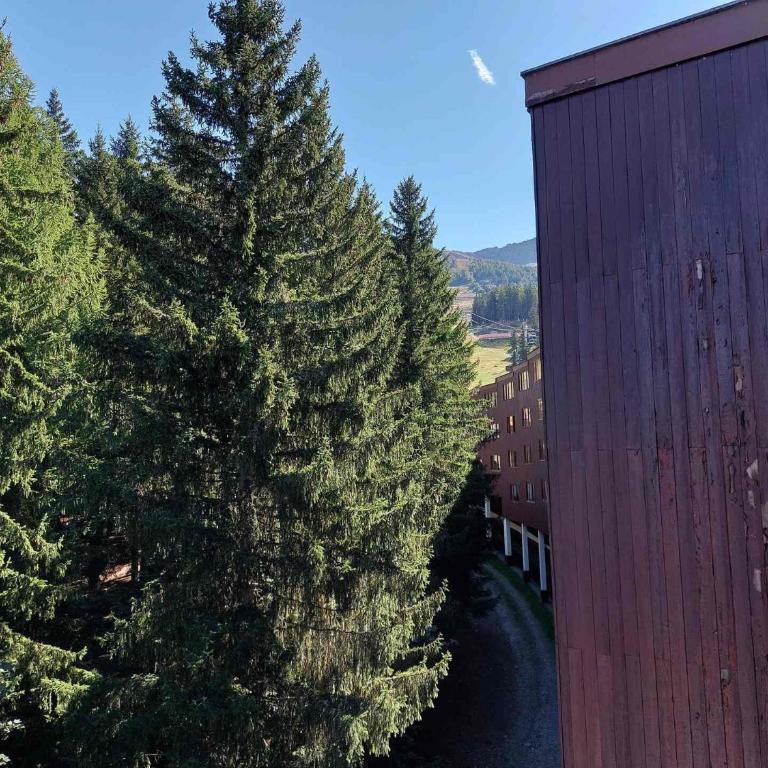 Résidence Nova - Studio pour 2 personnes, au coeur de la station d'Arc 1800 dans le village des Villards MAE-2221 - Studio - 4