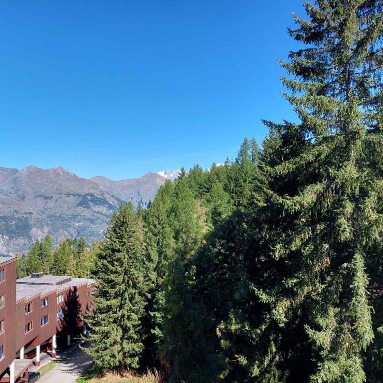 Résidence Nova - Studio pour 2 personnes, au coeur de la station d'Arc 1800 dans le village des Villards MAE-2221 - Studio - 5
