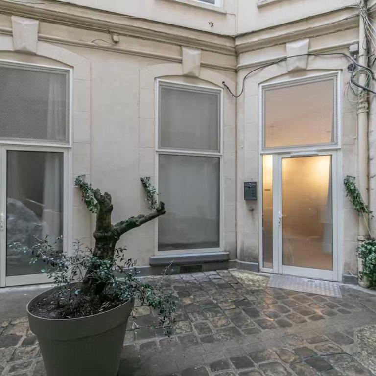 Magnificent suplex - Appartement - 45