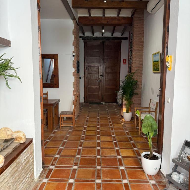 Hotelito Oliva - Habitación Doble - 19
