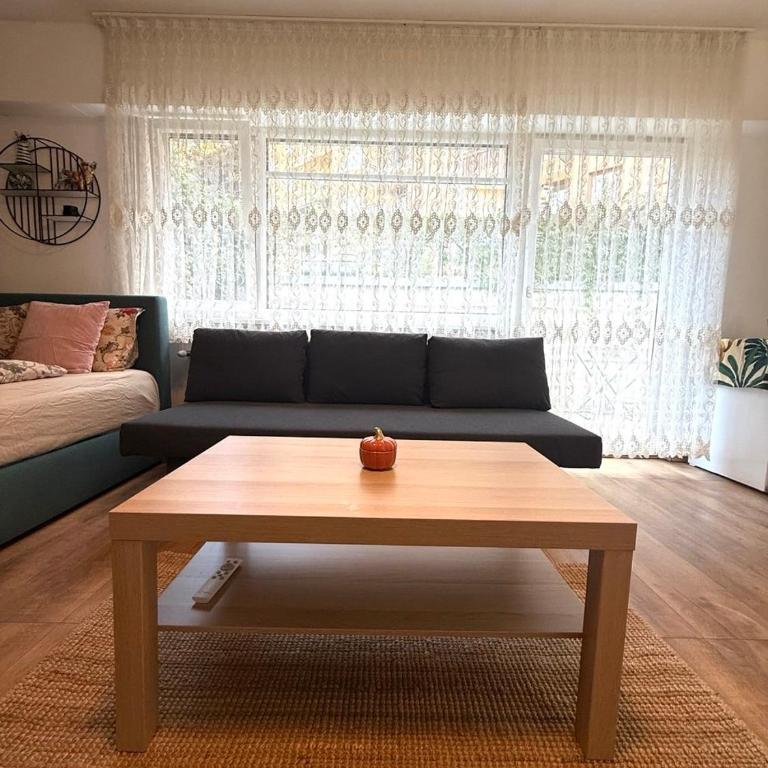 Studio mit Garten - Apartamento de 1 dormitorio - 3