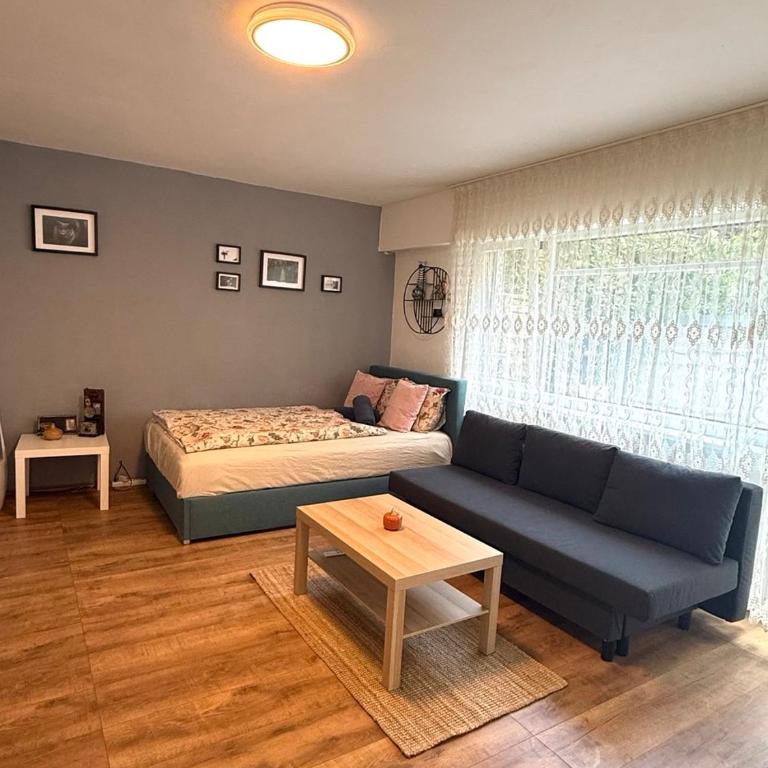 Studio mit Garten - Apartamento de 1 dormitorio - 2