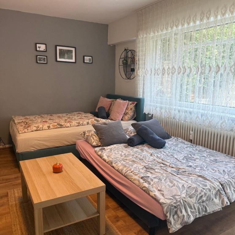 Studio mit Garten - Apartamento de 1 dormitorio - 11