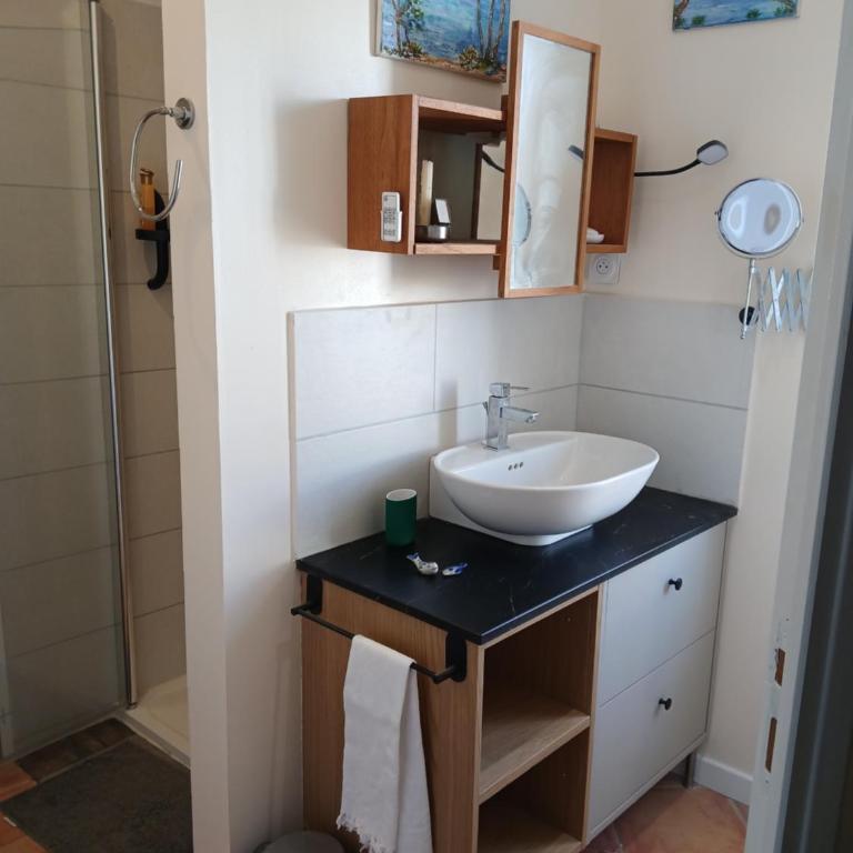 Grand studio proche plages et toutes commodités - Apartment mit 1 Schlafzimmer - 4