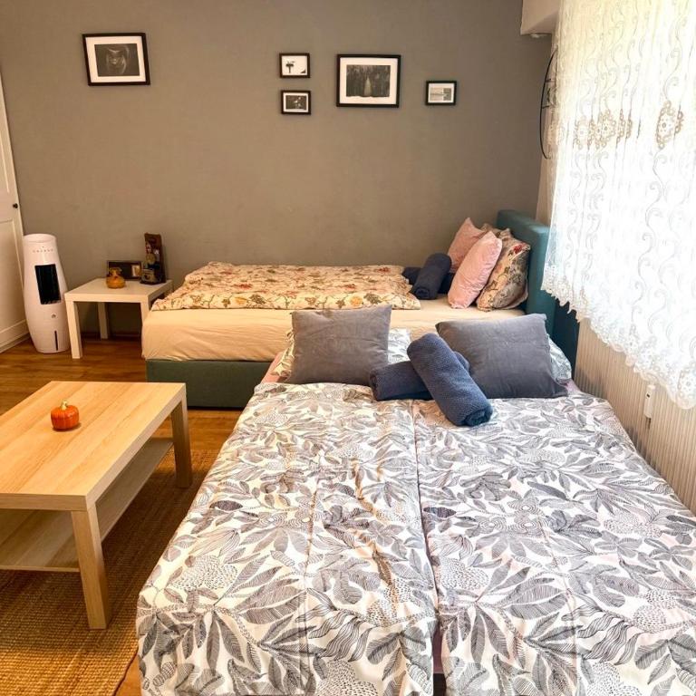Studio mit Garten - Apartamento de 1 dormitorio - 7