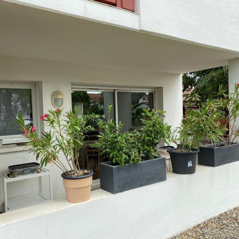 Cambo Centre, commerces et nature à 5 min à pied et proche Thermes - Appartement 1 Chambre - 4