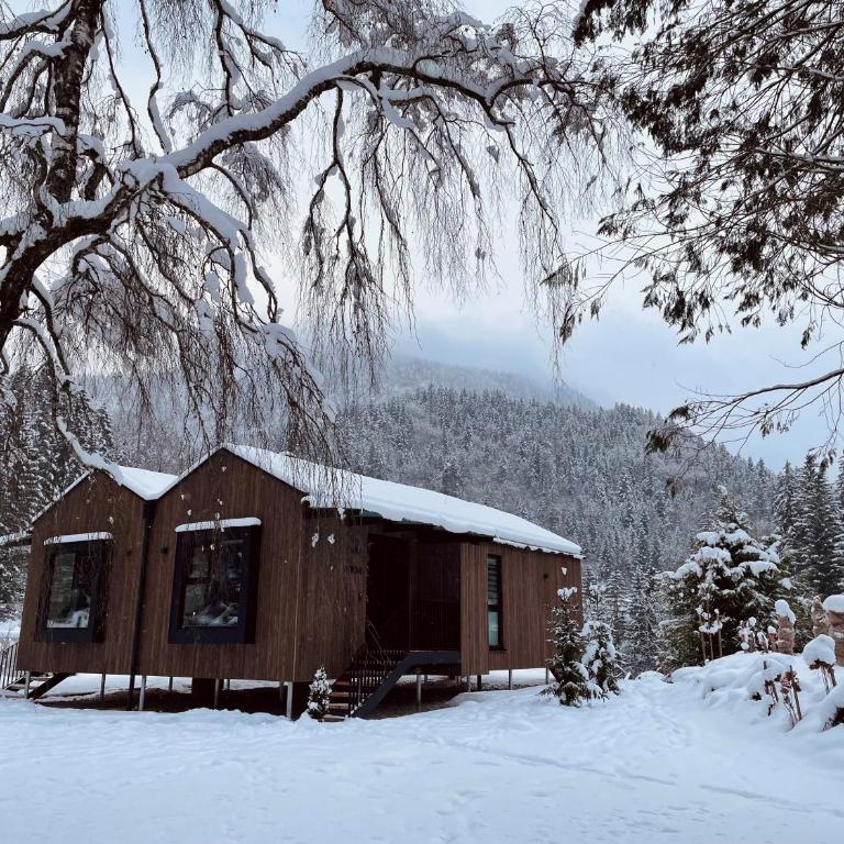 TINY Wald oder WIESE - Haus mit 1 Schlafzimmer - 2