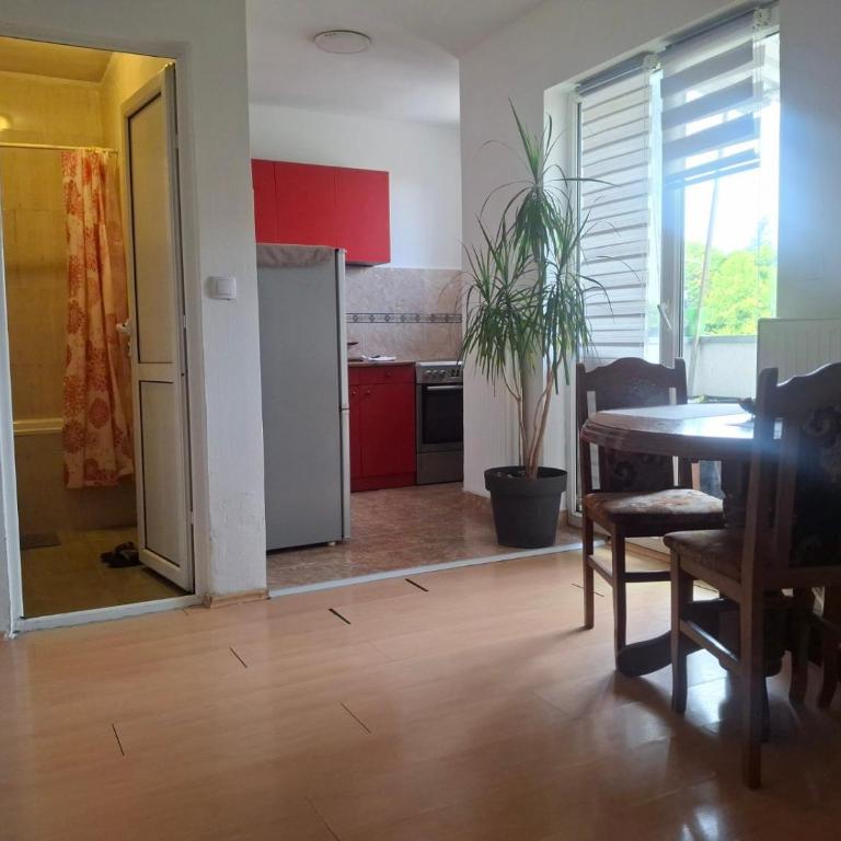 Georgije's apartment - One-Bedroom Apartment - 25