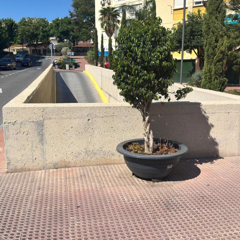 Balcon del orquidario Estepona centro - Apartamento de 2 dormitorios - 12