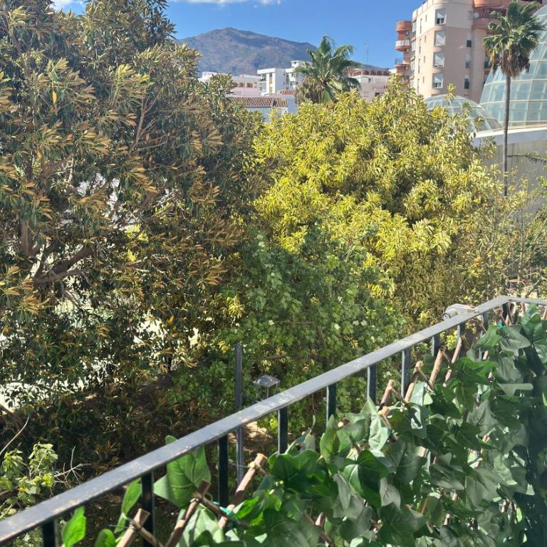 Balcon del orquidario Estepona centro - Apartamento de 2 dormitorios - 32