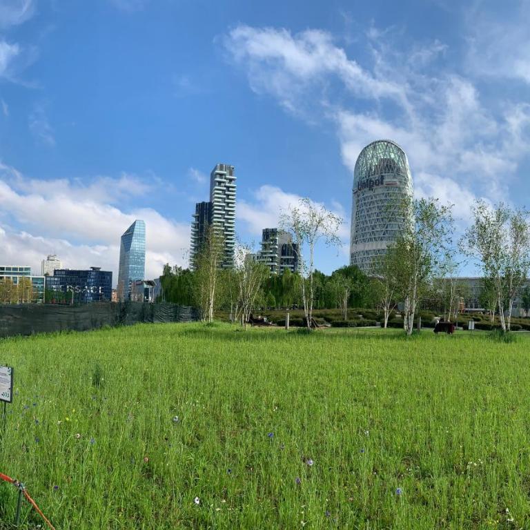 Milano Centro, Studio "La casa di Irena" - Appartamento con 1 Camera da Letto - 39