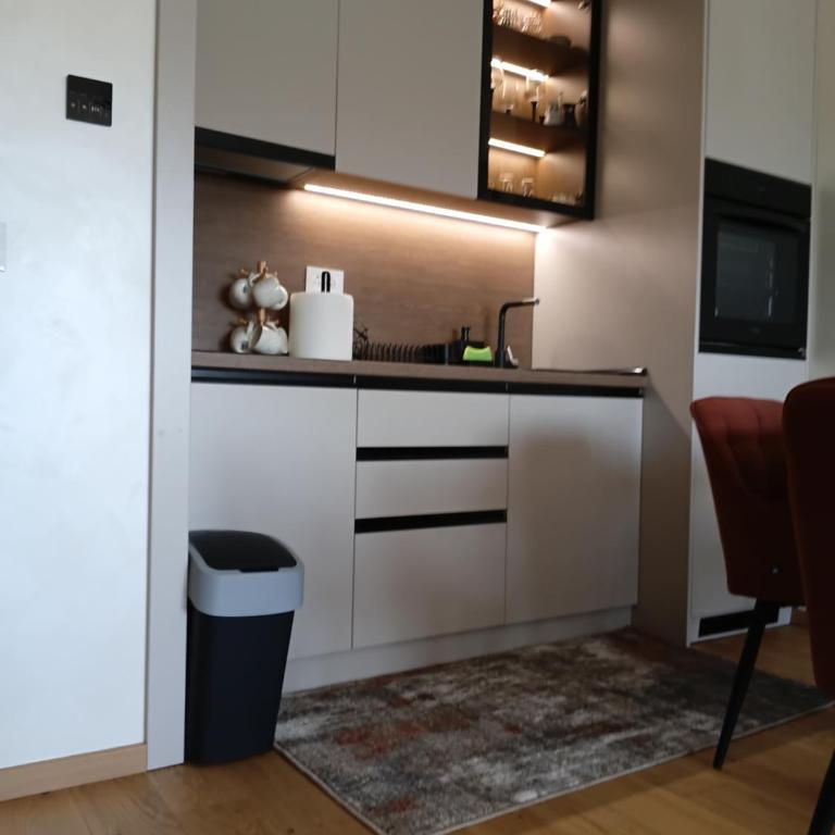 Vista Premium Apartment - Center Zlatibor- Lake View & Garage - Apartment mit 1 Schlafzimmer und Seeblick - 15