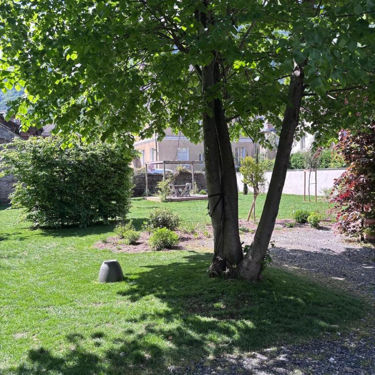 Belle maison de caractère de 200m2 avec jardin - Villa - 31