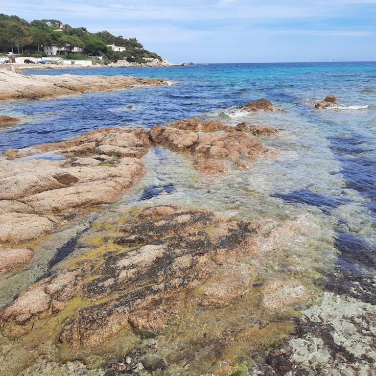 Charming Independent Garden Floor, French Riviera - Villa 3 Chambres - 49