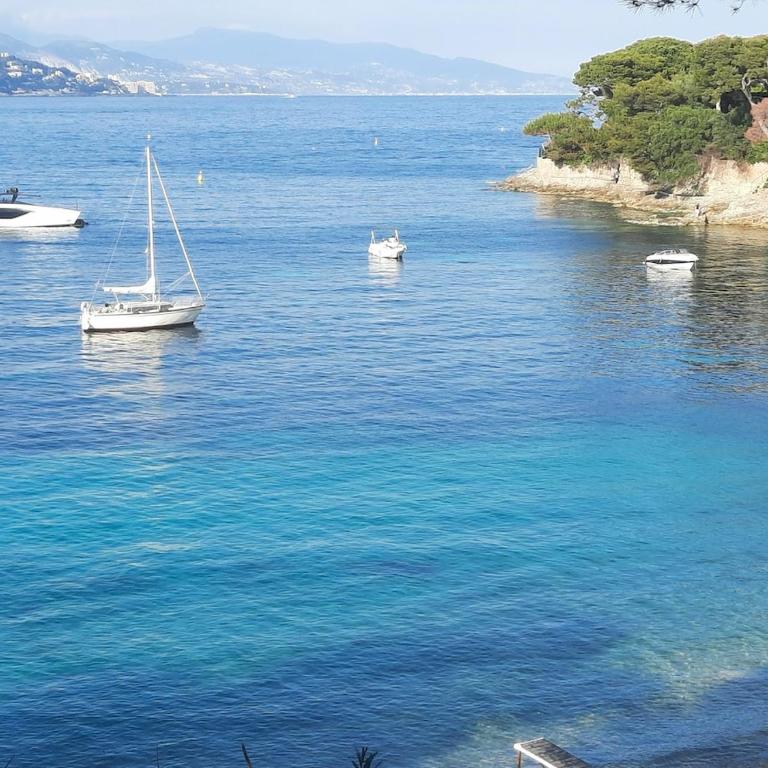 Charming Independent Garden Floor, French Riviera - Villa 3 Chambres - 46