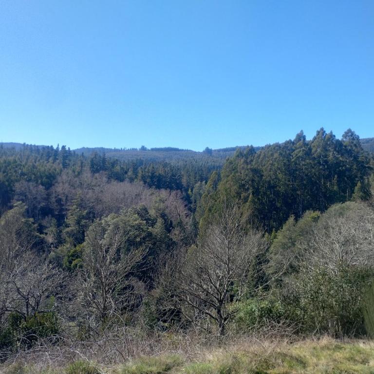 Rincón de la Piedra a 15 minutos de Valdivia - Casa de 2 dormitorios - 5