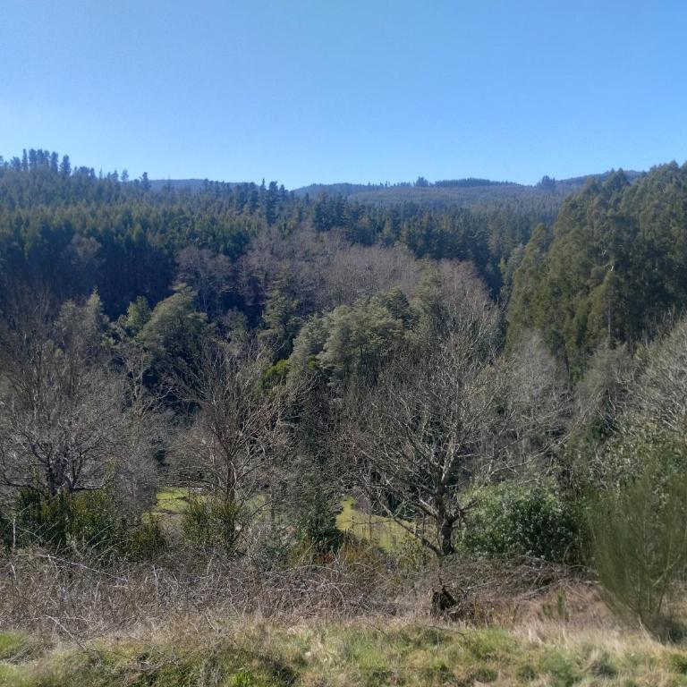 Rincón de la Piedra a 15 minutos de Valdivia - Casa de 2 dormitorios - 10