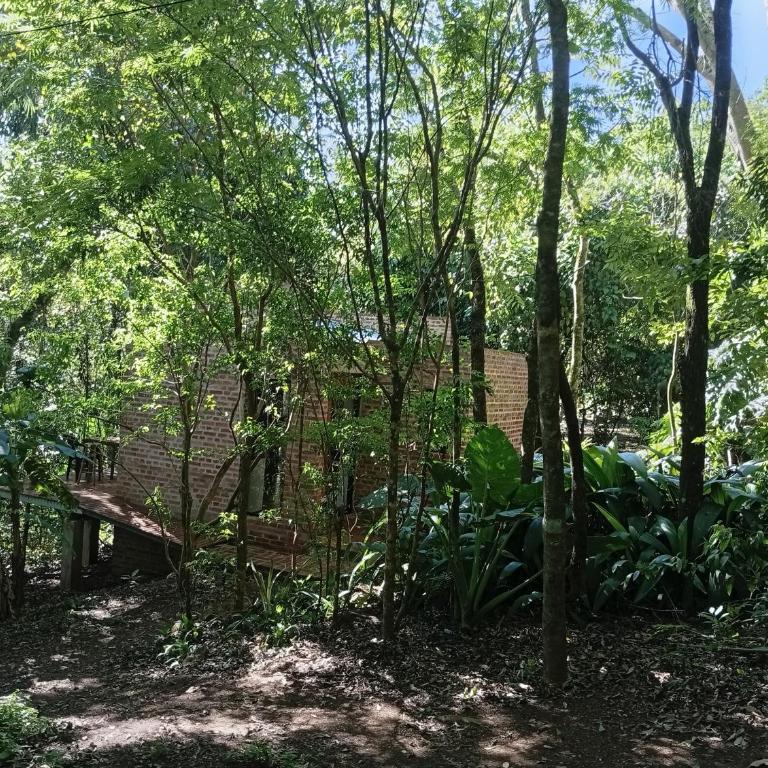 Refugio 44 - Apartamento de 1 dormitorio - 33