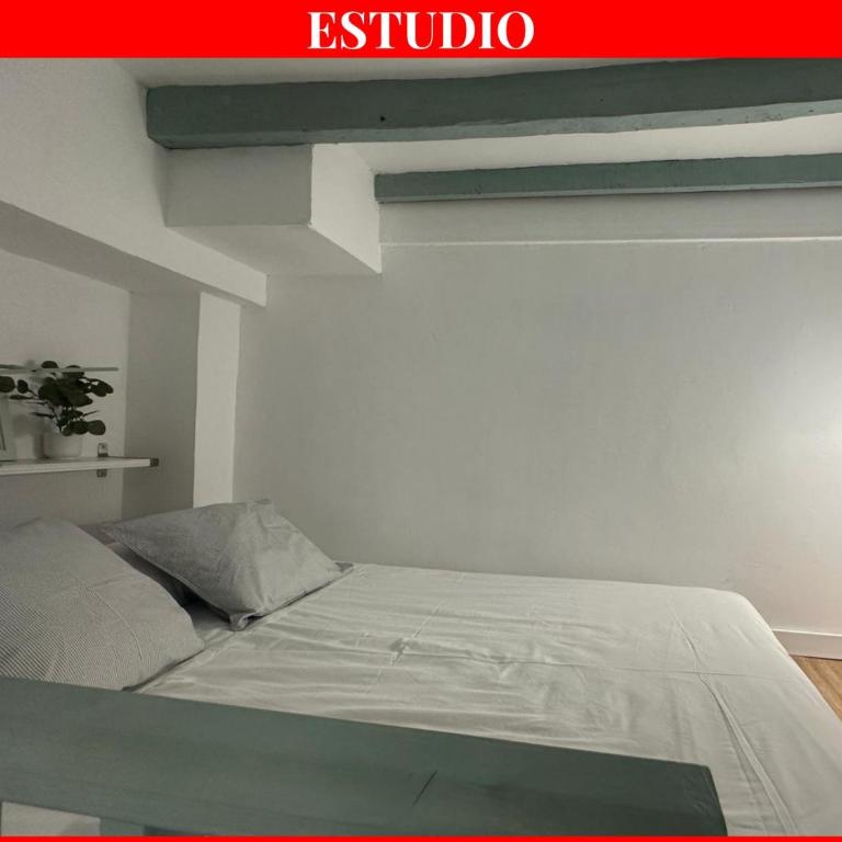 Coqueta estancia en Triana - Estudio - 2 niveles - 6