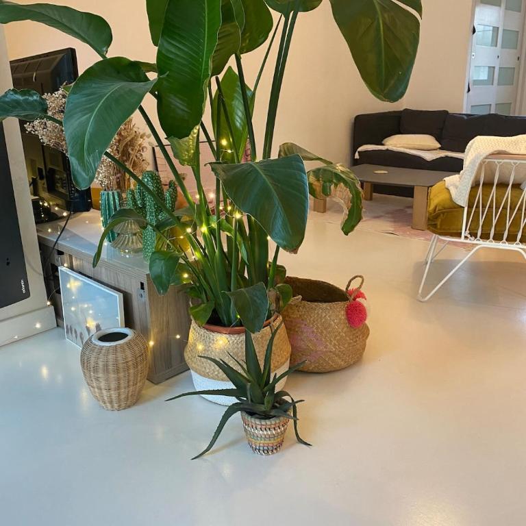A rare find in Marseille, south-facing house with pool, quiet location - Three-Bedroom Villa - 28