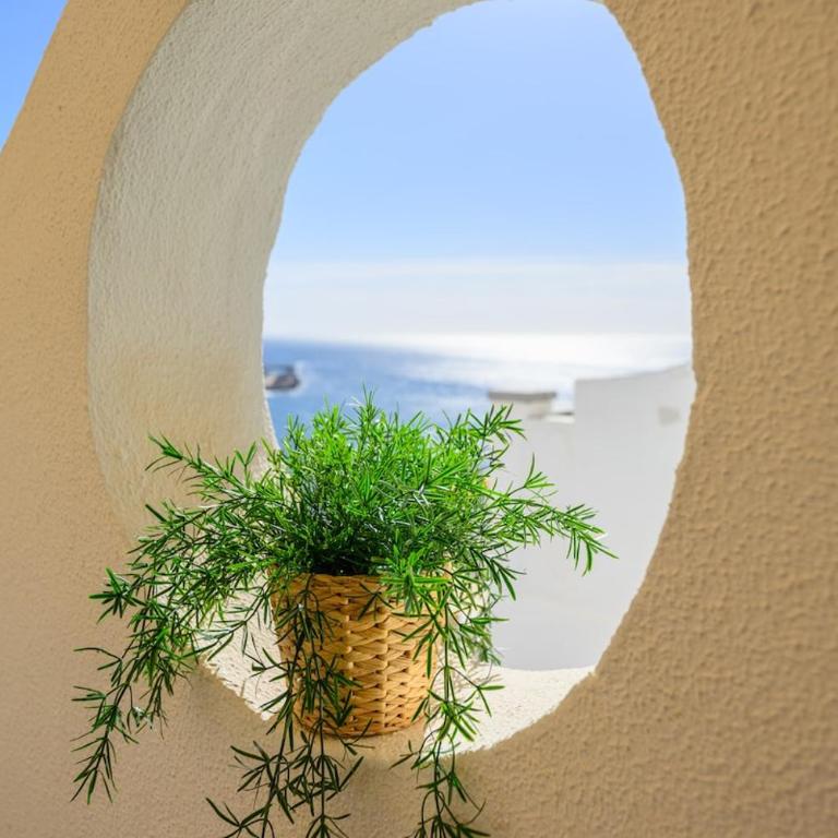 Casa Ingrid Monsenor Apts - Appartement 1 Chambre - 4