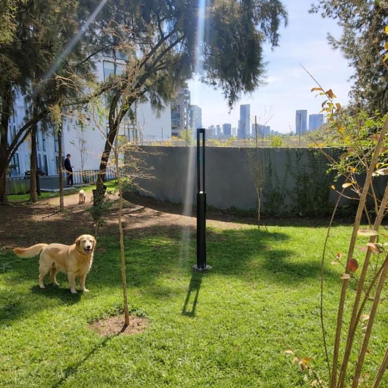 Increible nuevo depa por andares 310B - Apartment - 20