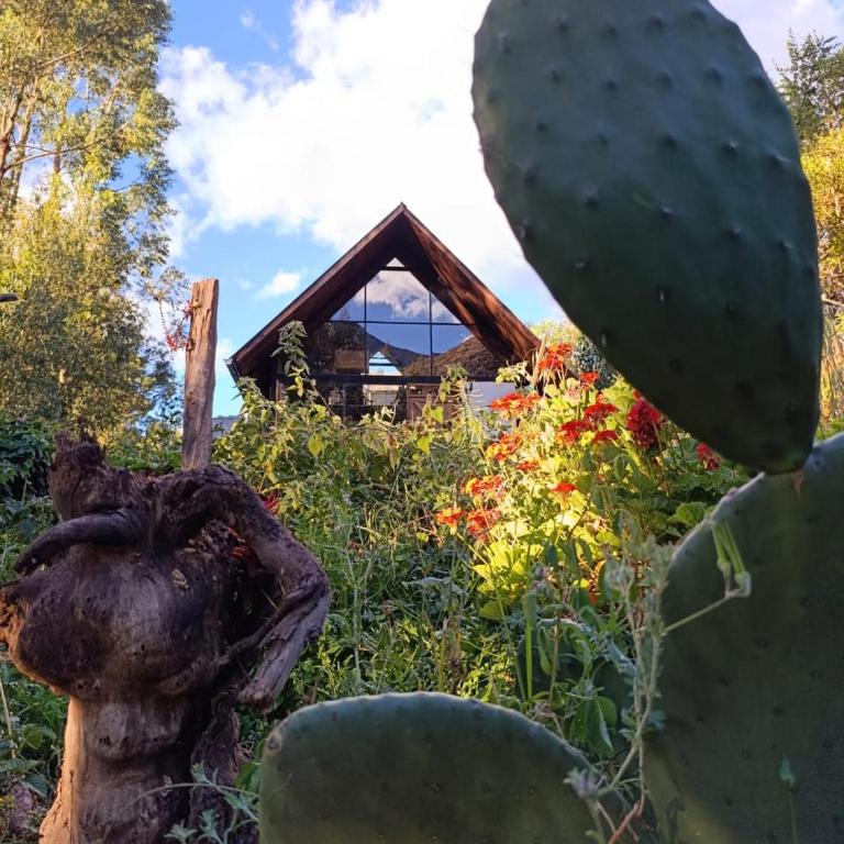 Fairy garden guest house - One-Bedroom Chalet - 13
