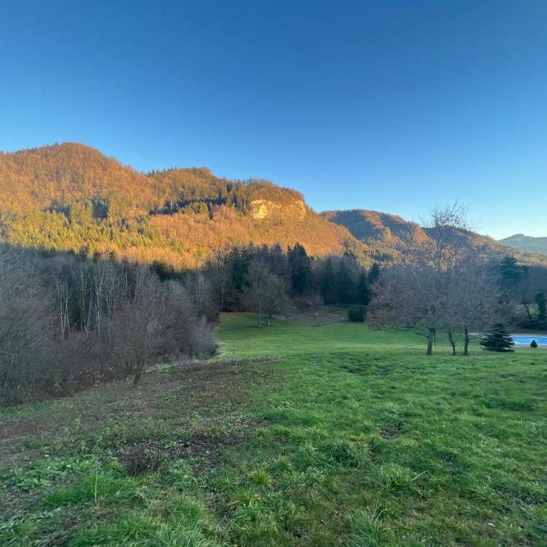 Maisonnette dans la vallée verte - Appartement 1 Chambre - 2