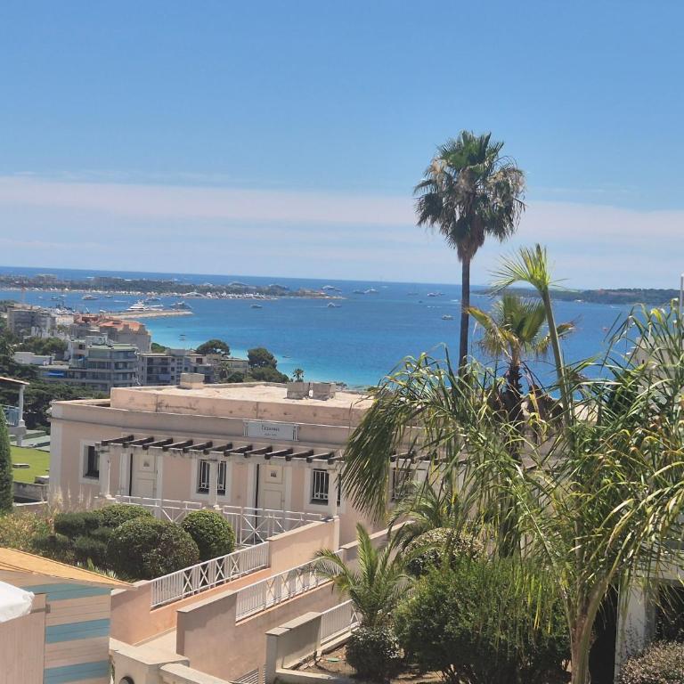 Cannes Francia - Vue mer - Piscine - Clim - Parking - Apartamento de 1 dormitorio - 5