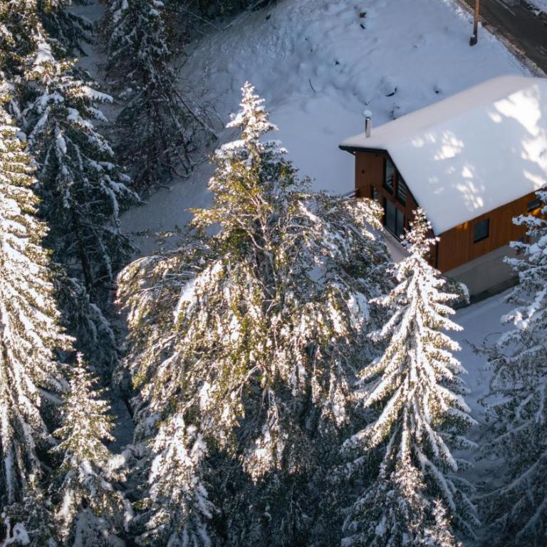 Gorska Vila - Chalet 3 Chambres - 7